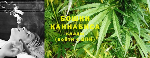 молекула духа Алзамай
