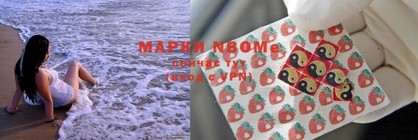 винт Абаза